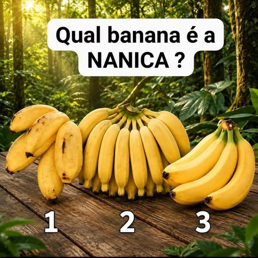 Anakokedamas's tweet photo. Você sabe? https://t.co/Na0xGMLhfm
