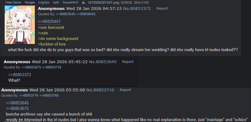 TonySaltines's tweet photo. did you know that Anthony Ortiz aka Tony Saltines has been scouring the 4chan archives for irl leaked nudes of Odette since at least January? https://t.co/9chfLmIWrG