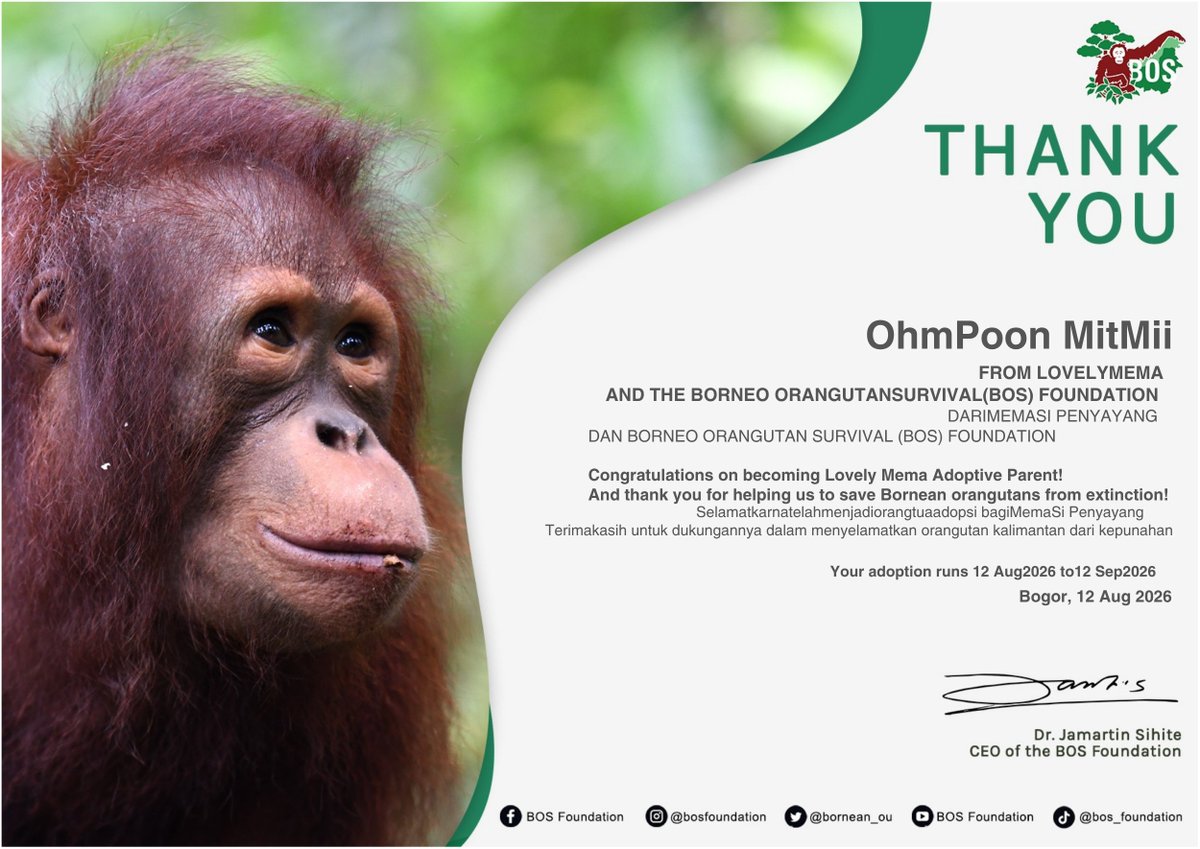 Red_Plum86's tweet photo. Happy 1st Anniversary, Ohmpoon 💙💖
Say hello to our precious little orangutan, Mema!

Mema wants to say: May her foster parents always be happy and blessed with good health na ka~

ONE YEAR WITH OHMPOON 

#365DaysOfOHMPOON

♡° #OhmPoon #โอห์มปูน °♡
{ #OhmThitiwat #poon_mit12 }

//ini project terkocak sih,begitu buka web dan liat nama si baby orang utannya seketika inget si @MeeMaa1312 HAHAHAHHAHAHHAHA
Ga pake lama deh langsung adopt 🤪🤪🤪