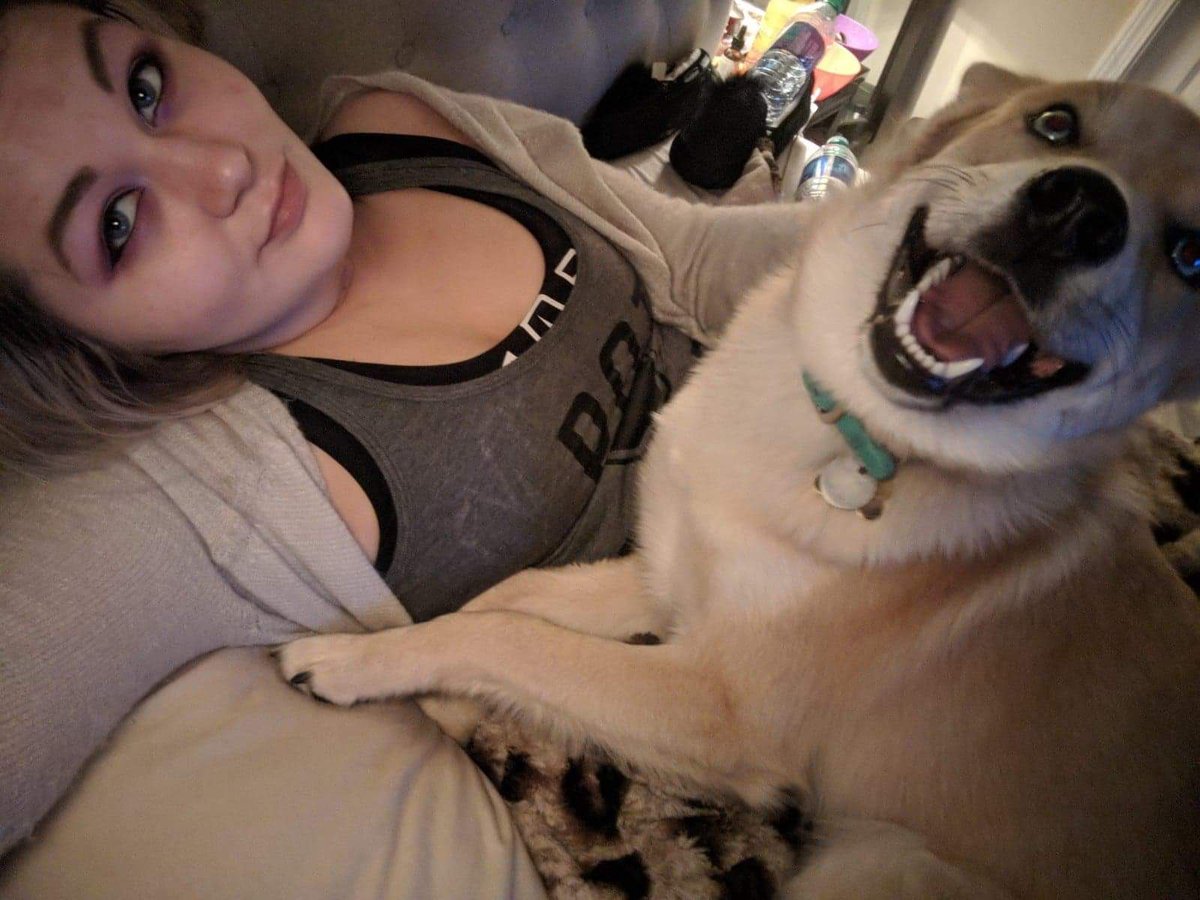 AmyLynnLewww's tweet photo. Hi loves my Buddy is saying hi as well 
👉 https://t.co/VzcnrVvwKV https://t.co/UfqwvYhLR9