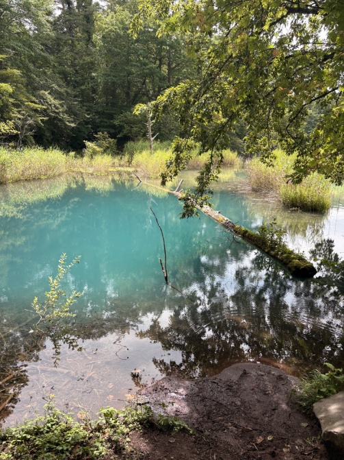 doak_archive's tweet photo. 夏が過ぎてゆくなあ https://t.co/Pz8PqfTt0i