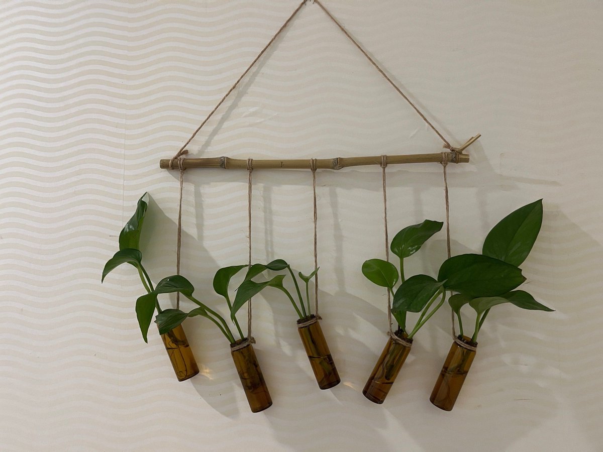 RoseHeaviland's tweet photo. Just finished my woven macramé plant hanger—soft cotton, crisp knots, and it’s the perfect decor for my windowsill!  Handmade hits different https://t.co/gjk2X2jtXI