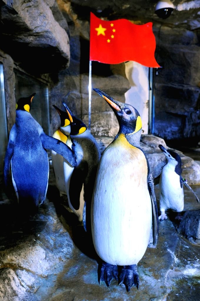 Itsfoss tweet picture