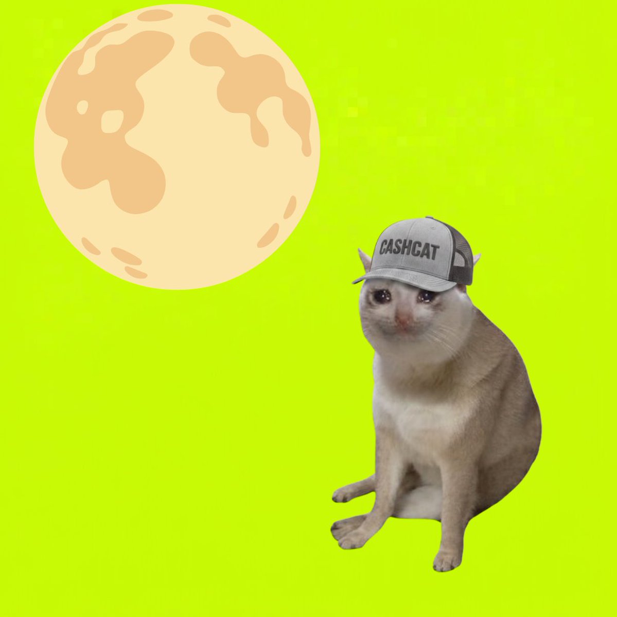 sircashcat's tweet photo. @Poloniex GMEOW 

PUT THE CASH IN THE CAT 

cash-cat:native https://t.co/MOYyNPiB3x