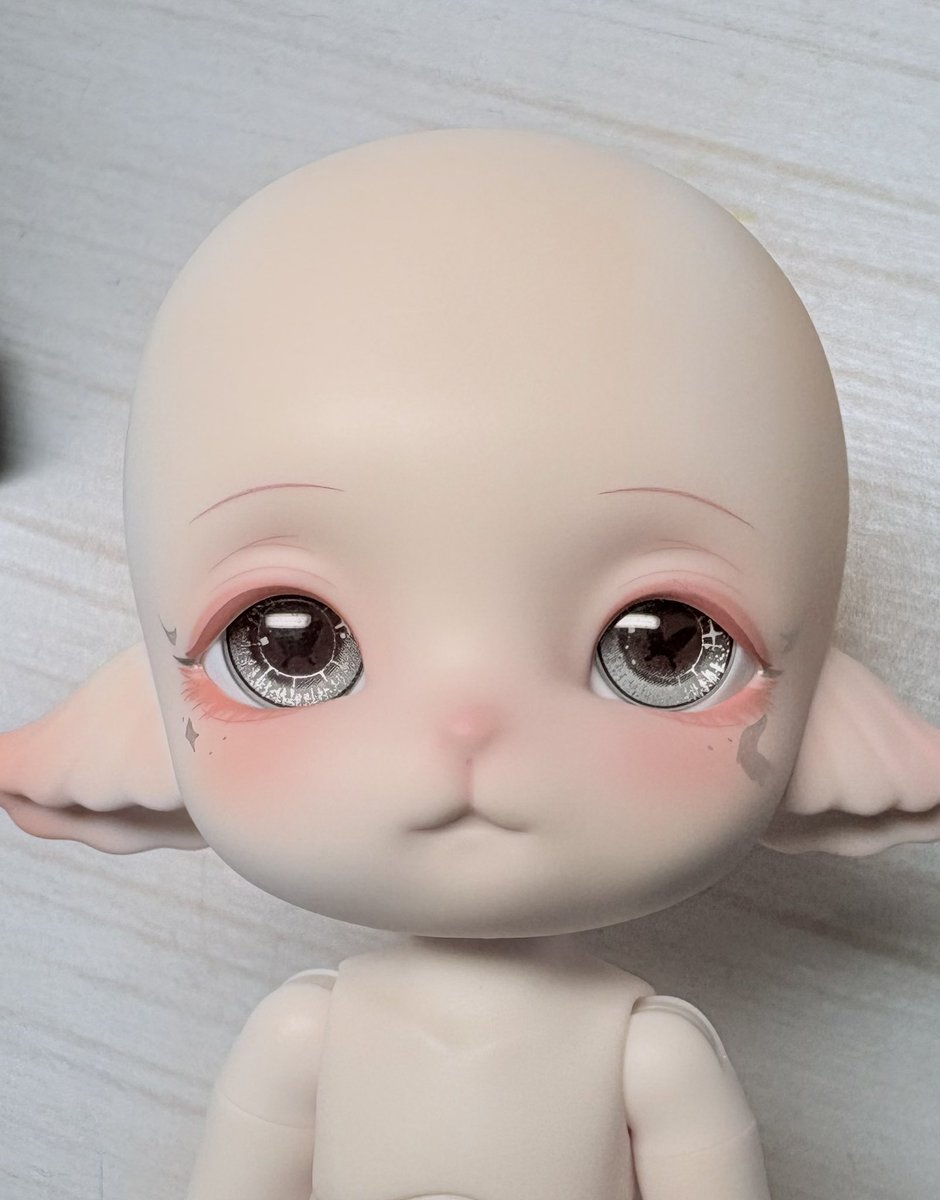 de65tk26599's tweet photo. とてもかわいい https://t.co/iXKfLgEcQQ