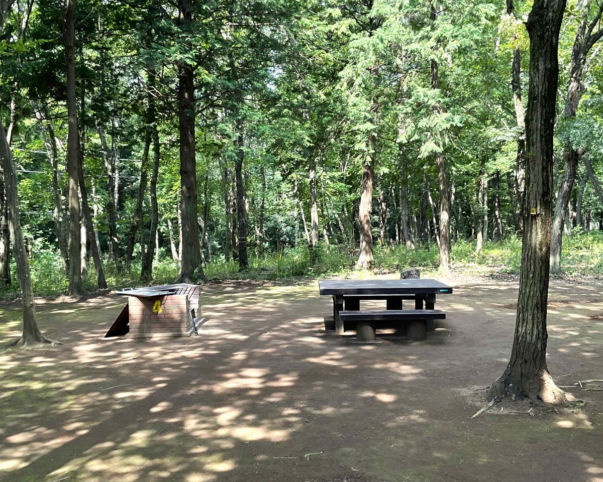 hurusato_park's tweet photo. BBQ広場、8月19日11時現在
【空き状況】
8月22日、23日10時から15時・16時から20時
（数に限りがありますのでお問い合わせの時点で、予約が入ってしまう場合がありますのでその際は、ご了承ください）
ご予約のお電話お待ちしております。
#ふるさとの森
#公園
#バーベキュー広場
#こがでくらすと https://t.co/1ih4mfNiPt
