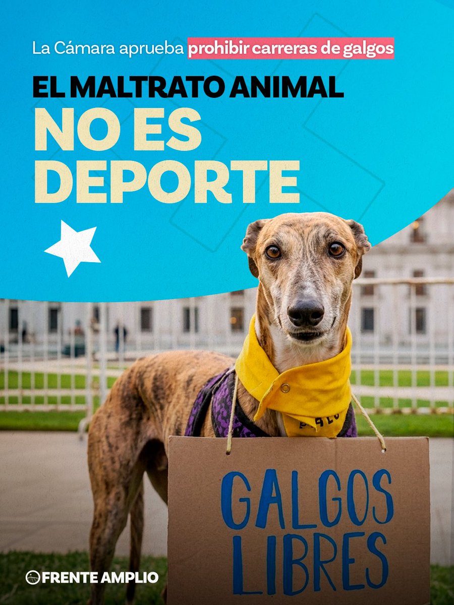 elfrente_amplio's tweet photo. Hoy dimos un paso importante: junto a toda la bancada del Frente Amplio, votamos a favor de prohibir las carreras de galgos y sancionar el maltrato asociado a esta práctica.

Los animales no son objetos ni herramientas. Merecen respeto, cuidado y protección 🐾 https://t.co/uJGbmtyRAs