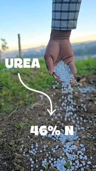 lectorcronico's tweet photo. @PradoNahuel Farmeando urea https://t.co/vy84Dm0B0L
