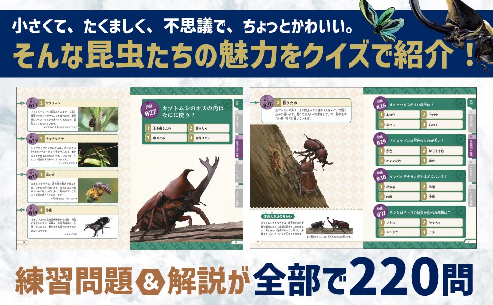 takahashiPR_tw's tweet photo. 🐞好評発売中🐜

『昆虫検定公式ガイドブック 初級・中級』

2026年11月29日に第１回昆虫検定が開催されます！
本書は「昆虫検定」の唯一の公式ガイドブックです💪
昆虫検定を受けるみなさん必読の一冊🦗 https://t.co/uCH6lCFDKs