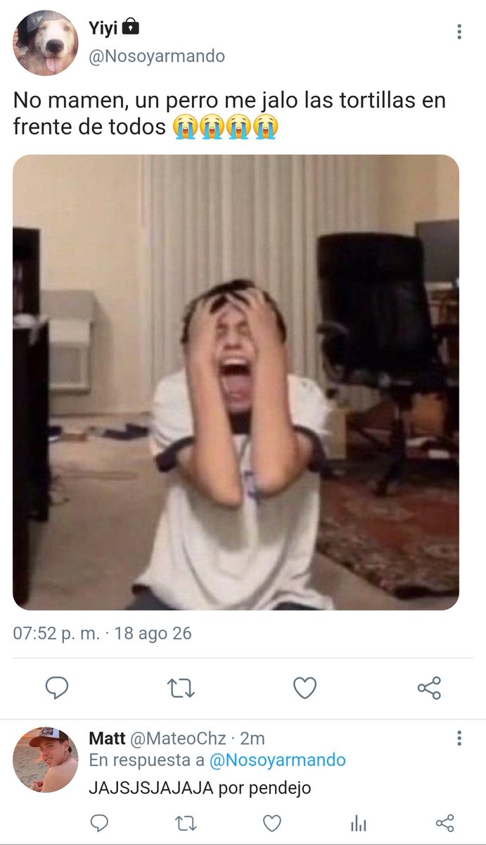 Duugy_'s tweet photo. Tortilleria 🌮 | AU #Brimiga 

Donde 🐜  va a comprar tortillas y un perro se las quita en frente de todos.

O donde 🍓 trabaja en la tortilleria de su familia solo para ver al chico que le gusta desde que empezó a vivir en la cuadra.

Si no es flop lo hago. https://t.co/dVbGttYccq