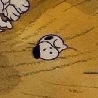 snoopy35b's tweet photo. baby snoopy https://t.co/w5HIUa6a3A