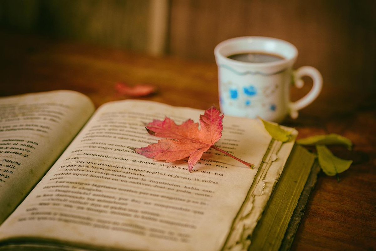 KatelynnHe20347's tweet photo. Just finished The Midnight Library—mind-blowing story that made me rethink every small choice I’ve ever made. 10/10 would recommend to anyone craving a fresh take on life’s what-ifs https://t.co/owlbqcmEpk