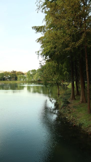 ramireznancy466's tweet photo. 一起记录白兔的美好瞬间。 Ava 一起寻找更多可爱的海豚。 愿以后还能和 sydney altonen😏 https://t.co/KBXsdmSfft