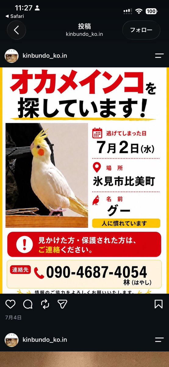 kawaiiAURAchan's tweet photo. ここインコ逃げないのかなと思ったら案の定にげてた
命の扱い杜撰すぎるよ https://t.co/2Ae6DXGXzf
