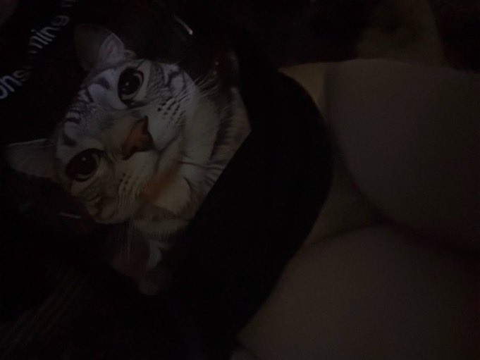 alysxluv's tweet photo. playing with my little holes >_<
goodnight nyan~ #nsfwtwtًً https://t.co/b7r9Bx9fPQ