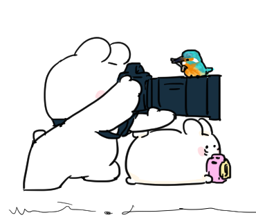 gonnohjoye's tweet photo. 🐰📷🔭🐦 https://t.co/xkJ0qZmehC