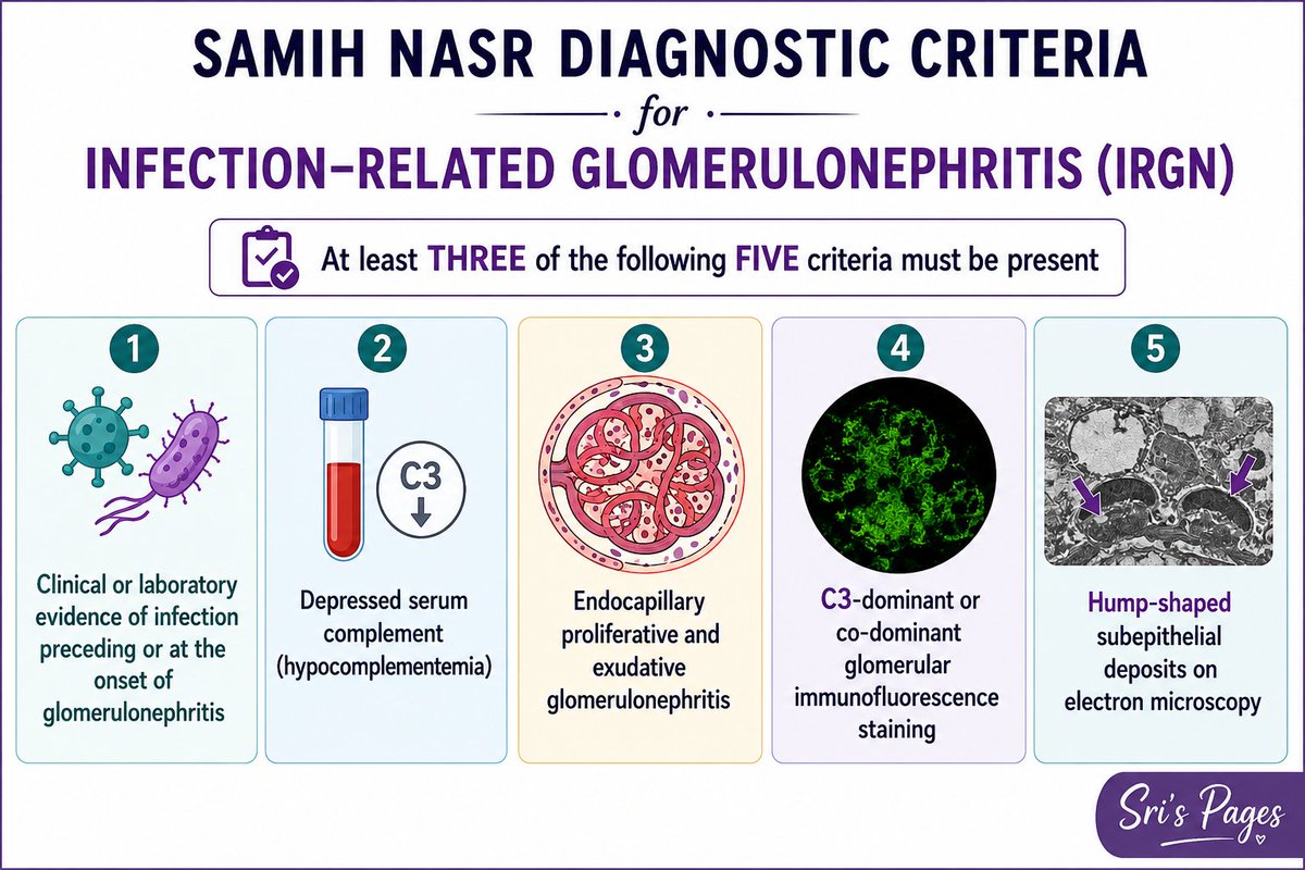 Srini41293's tweet photo. Samih Nasr Diagnostic criteria 

#NephPearls #IRGN #Sri's Pages https://t.co/ReSeXFbePT