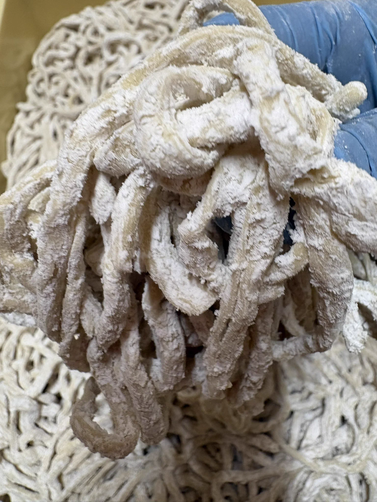 宮二郎 MIYAJIROU 自家製麺 on X: 