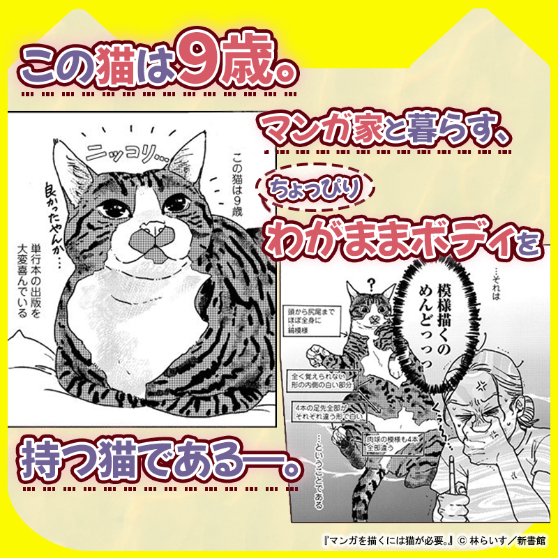 Wings_Official's tweet photo. ／ 
猫好きの、 
猫好きによる、 
猫好きのための
猫コミックエッセイ！
＼ 
 
『マンガを描くには猫が必要。』 
 
▼５話まで試し読み公開中☆