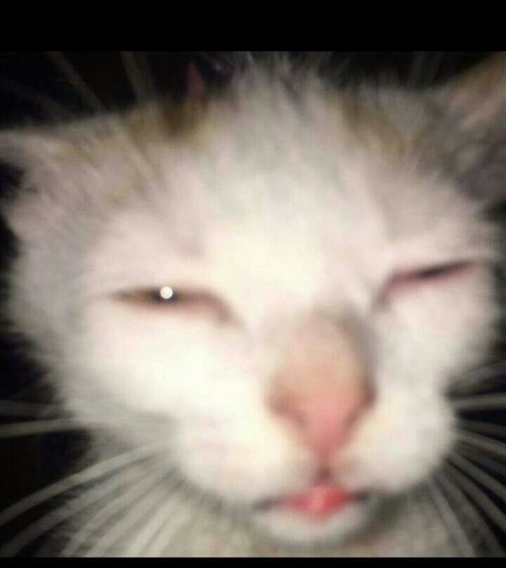 eudarda00's tweet photo. e eu que acordei com a mulher do meu vizinho quebrando a casa toda depois de descobrir uma traição e colocando ele pra fora de casa 💅🏻 https://t.co/E3pYulXzSg