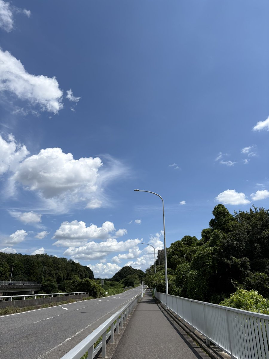chappysub2525's tweet photo. 快晴だ！ https://t.co/7XOXQfHOxk