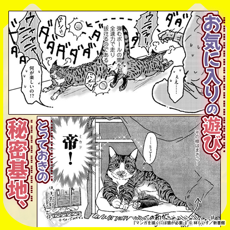 Wings_Official's tweet photo. ／ 
猫好きの、 
猫好きによる、 
猫好きのための
猫コミックエッセイ！
＼ 
 
『マンガを描くには猫が必要。』 
 
▼５話まで試し読み公開中☆