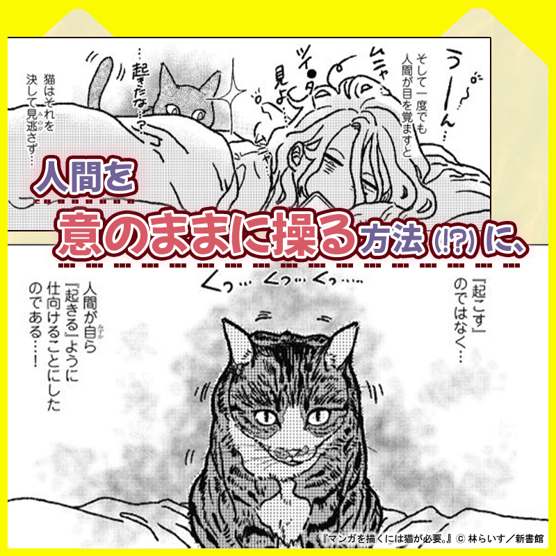 Wings_Official's tweet photo. ／ 
猫好きの、 
猫好きによる、 
猫好きのための
猫コミックエッセイ！
＼ 
 
『マンガを描くには猫が必要。』 
 
▼５話まで試し読み公開中☆