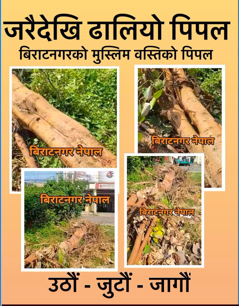 shekharnaughty's tweet photo. अन्त्यमा  पिपलकाेबाेट ढालिएछ! नेपालमा "सरिया" कानुनकाे पहिलाे सुरूवात यसैलाई मान्नु पर्ला! बधाई हाे @MohnaAnsari महाेदया! https://t.co/voQnZTzBBN