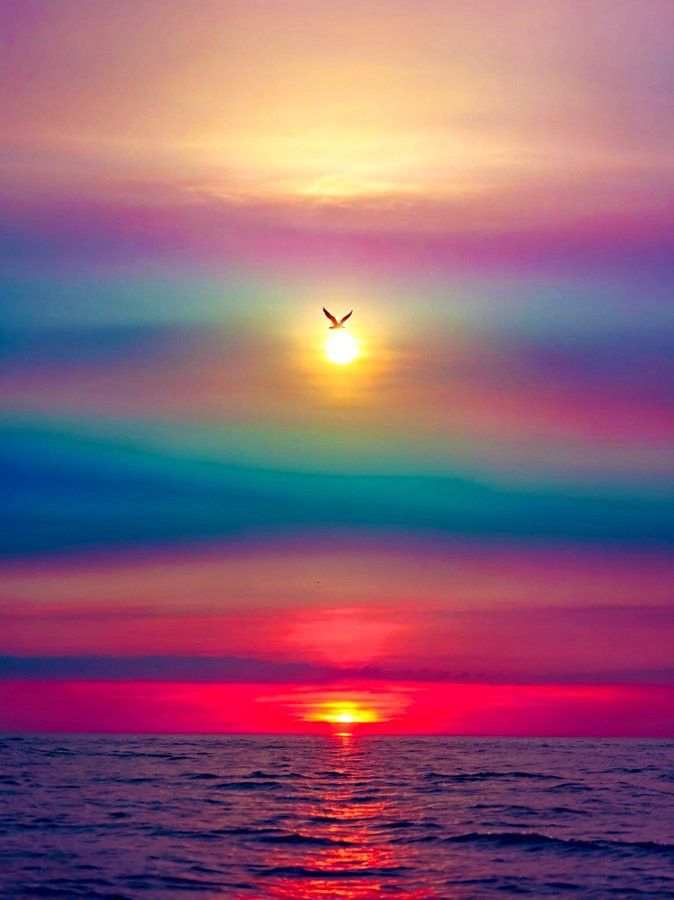 sun1358481 tweet picture