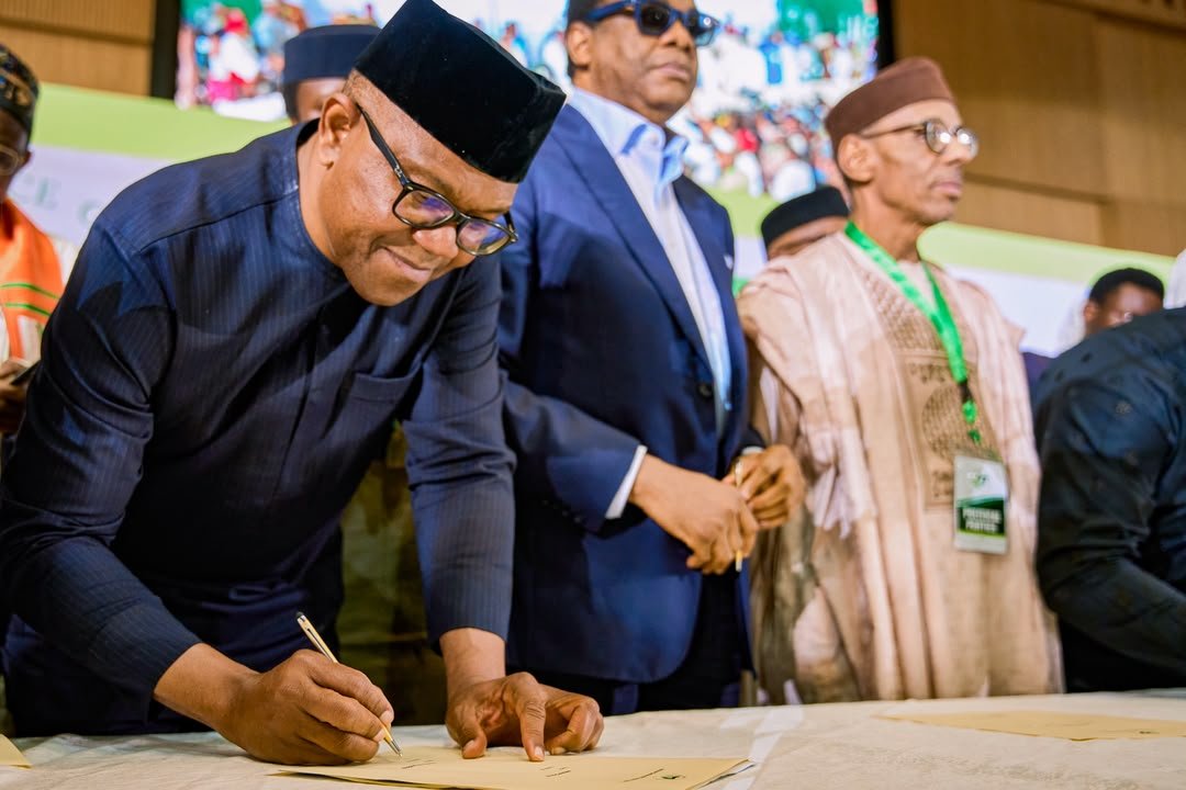 PeterObi tweet picture