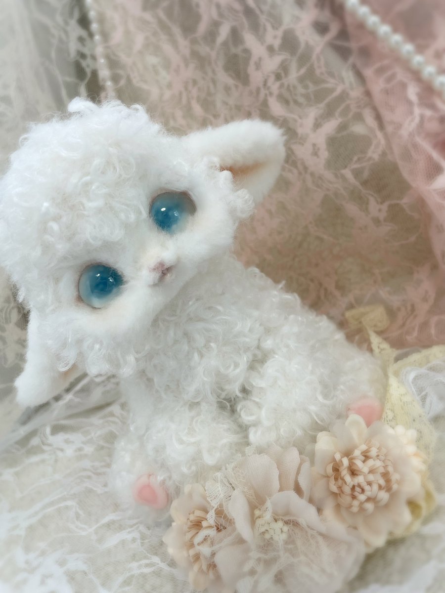 LArtDoll's tweet photo. ☁️ふわふわ、くるくる☁️💫
青い瞳の小さな羊さん🐑🌸
明日8/20夜9時頃まで
ヤフオクにて飼い主様募集しております🩵

#アートドール  #羊  #ひつじ #sheep #ハンドメイド #ぬいぐるみ #doll https://t.co/JDf7lGoJ9S