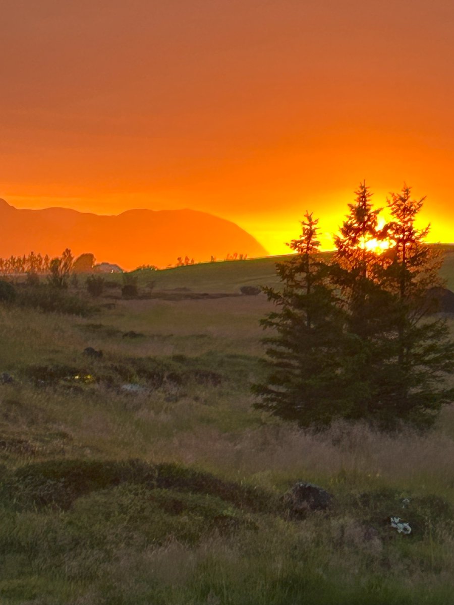 BPFlyfishing's tweet photo. My son & I leave for Iceland one month from today. There is so much more to Iceland than just the brown trout, Arctic char, and Atlantic salmon. Have you been? What did you like the most about your visit?

#flyfishing #flyfishingadventures #flyfishinglife #iceland #browntrout #arcticchar #atlanticsalmon