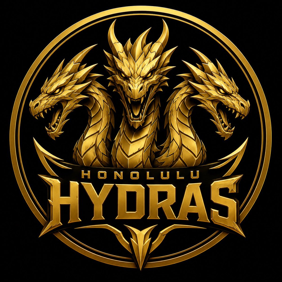 HonoluluHydras's tweet photo. THE Honolulu Hydras. 🐉

#FinalsBound https://t.co/FUOB8rarFS