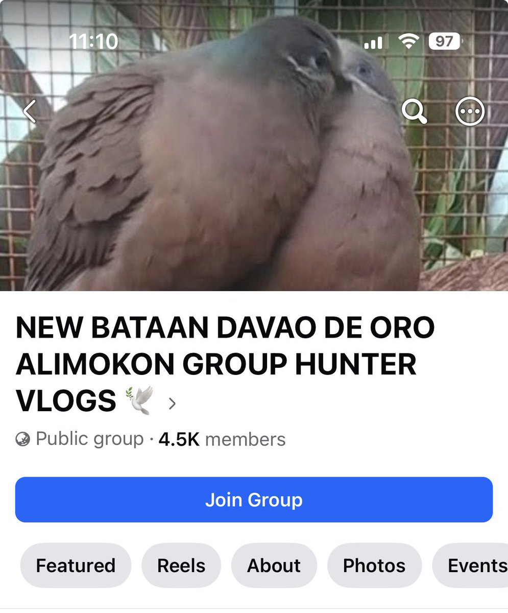 moveimgaytarist's tweet photo. logged on to facebook today and i saw this group dedicated to poaching and selling endemic wildlife 🫩🫩 AND IT HAS 4.6K MEMBERS!! WHAT THE FUCK!! fyi pala, if you guys see groups like this PLEASE REPORT THEM!! report them EVERYWHERE you can

i have reported this group to DENR https://t.co/OOzVS04nuu