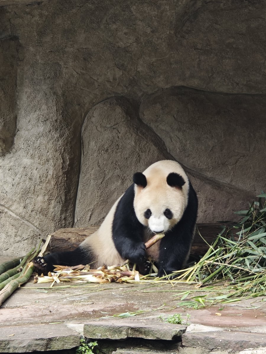 HelloChinaTrip's tweet photo. https://t.co/xQCgNhNl5p