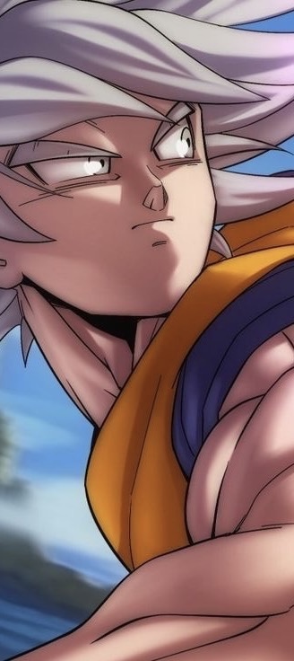 DragonBall43ver's tweet photo. Gods https://t.co/Bo3cgMM1dj