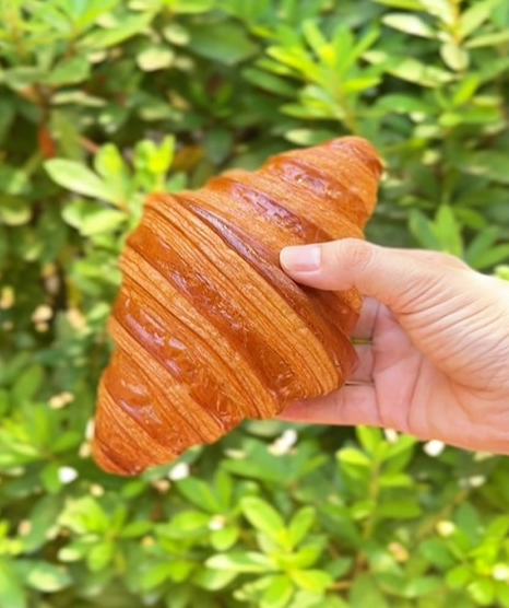 tabelog's tweet photo. ここはまるで横浜のクロワッサン天国……!
📍Proof Bakery (プルーフベーカリー)
https://t.co/tk5XCZCD7w
#proofbakery #プルーフベーガリー #横浜グルメ #横浜 #食べログ https://t.co/TtJtTXqK6m