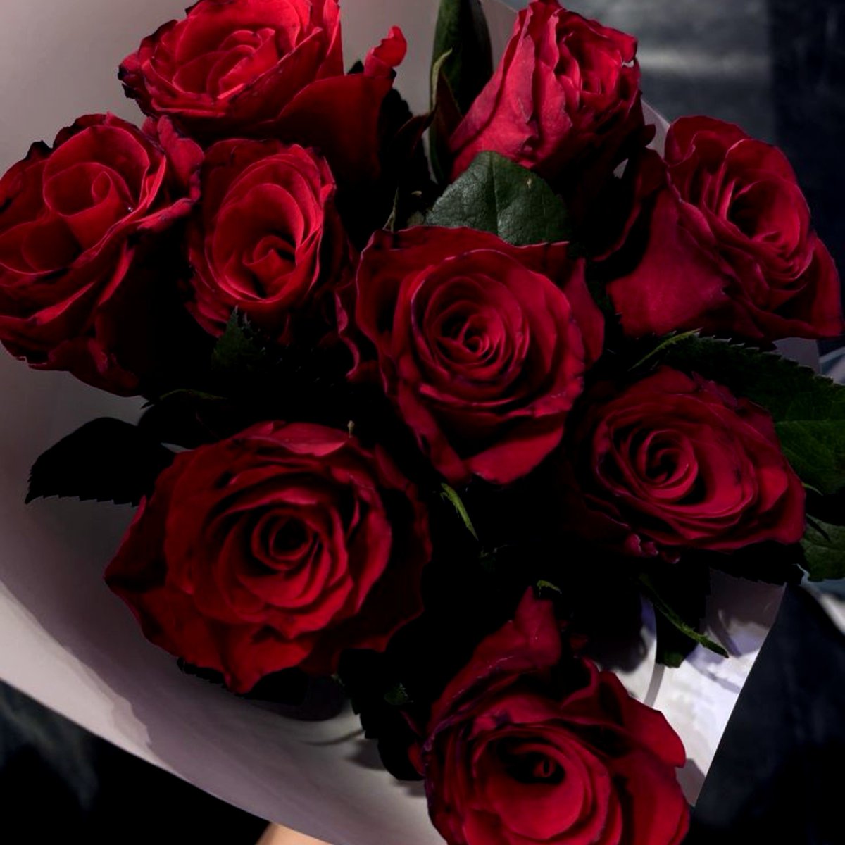 fkmeleys's tweet photo. @fxmaelys feliz cumpleaños, mi princesa. ♡ https://t.co/FS1GhYvgXi