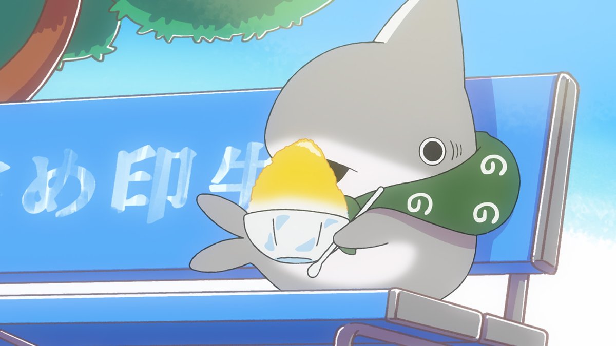 kozame_info's tweet photo. アニメ『#おでかけ子ザメ』シーズン2️⃣
  ˗ˋˏ🦈🍧第80話あらすじ公開🍧🦈ˎˊ˗

第80話「青いかき氷」
かき氷を食べに来た子ザメちゃんは、
わたるくんにかき氷をお土産にしようと思いつく。

8月23日（日）7:05～公式YouTubeにて
プレミア配信開始✨
▶️https://t.co/bfpquoiSUX https://t.co/x1hNui3Dik