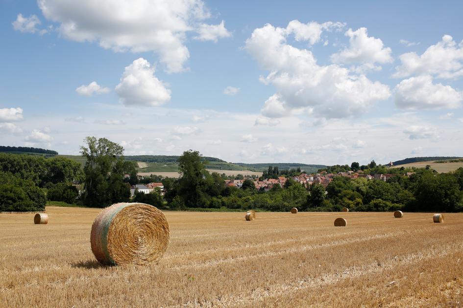 reussir's tweet photo. La loi d’urgence agricole est promulguée : liste des principales mesures https://t.co/i9L01Ggqs5 https://t.co/kCcOwFPmqP