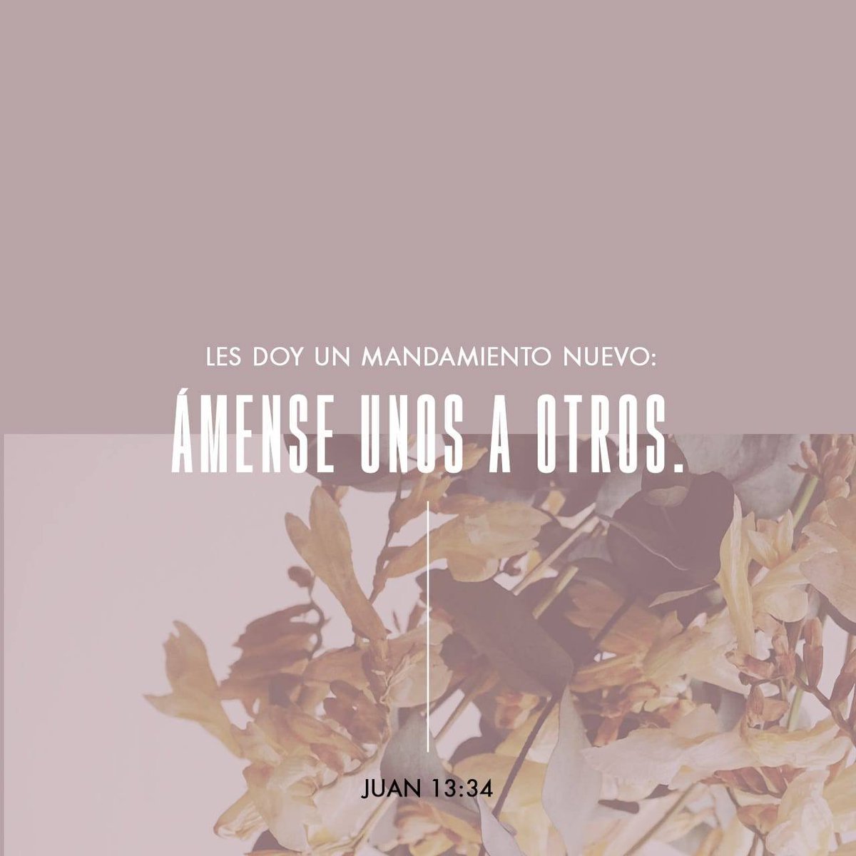 VillarRody's tweet photo. Juan 13:34
[34]  »Este mandamiento nuevo les doy: que se amen los unos a los otros. Así como yo los he amado, también ustedes deben amarse los unos a los otros. 

🔱♠️❤♥️🖤👑 https://t.co/SfSiXkTixD