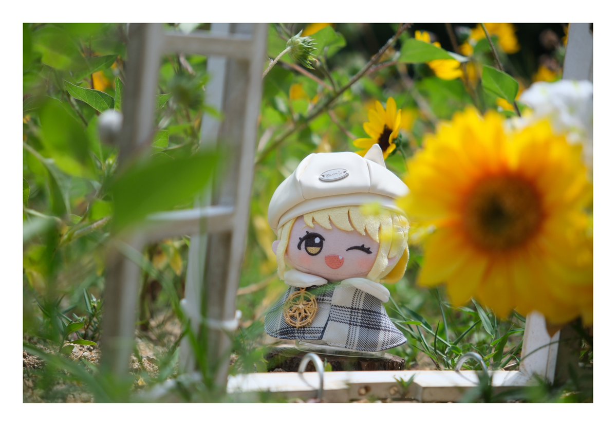 sorabananui's tweet photo. #初星学園ぬいぬい部 https://t.co/DReZotoESi