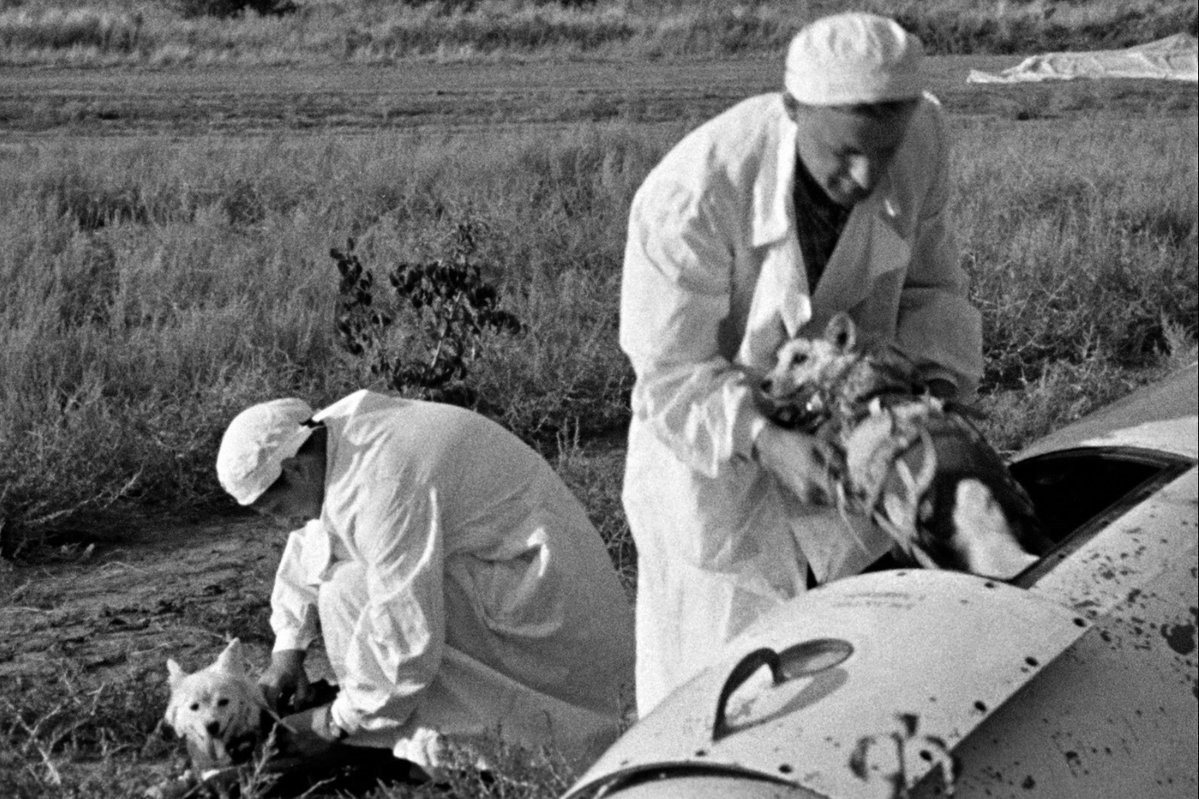 Russia's tweet photo. ����🐶 #OTD in 1960, #Belka &amp; #Strelka – the Soviet cosmonaut dogs – embarked on their historic space journey aboard #Sputnik5.

They completed 17 orbits of Earth &amp; returned safely, becoming the first living creatures to survive an orbital flight.

☝️ The goodest doggies of 1960. https://t.co/E9olNFj2b6