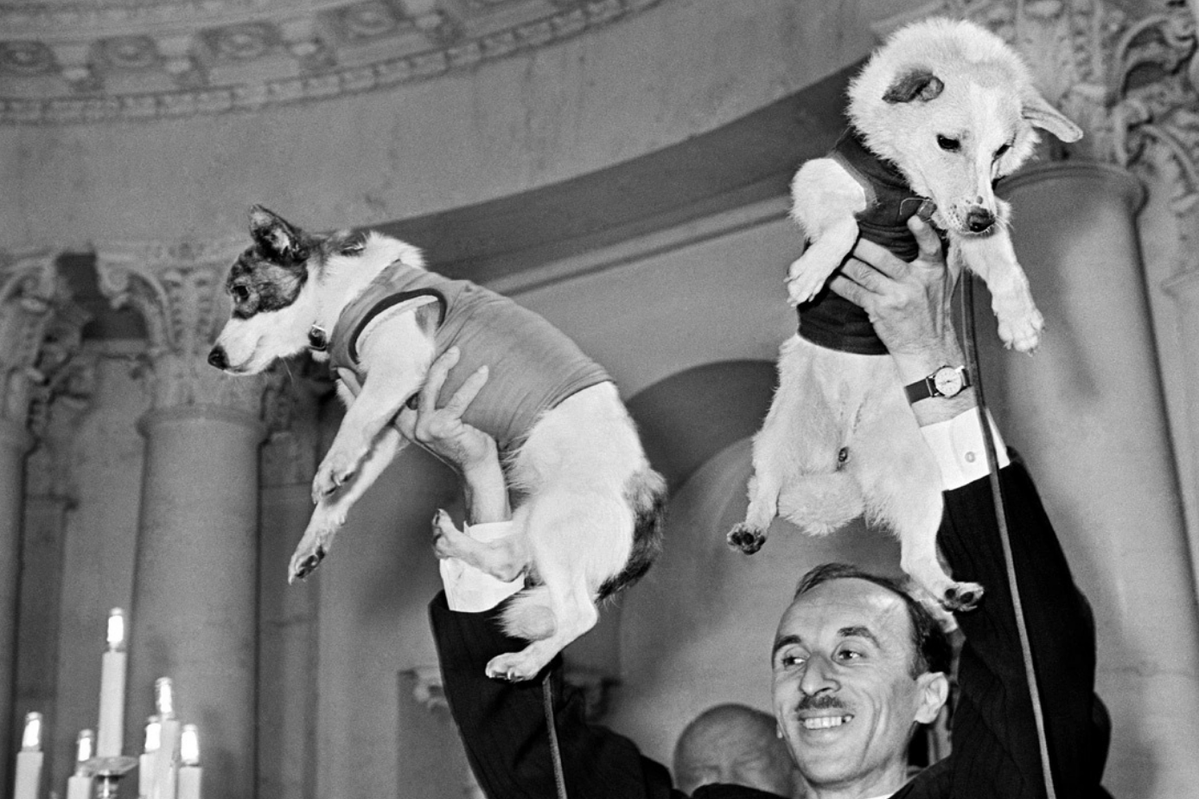Russia's tweet photo. ����🐶 #OTD in 1960, #Belka &amp; #Strelka – the Soviet cosmonaut dogs – embarked on their historic space journey aboard #Sputnik5.

They completed 17 orbits of Earth &amp; returned safely, becoming the first living creatures to survive an orbital flight.

☝️ The goodest doggies of 1960. https://t.co/E9olNFj2b6