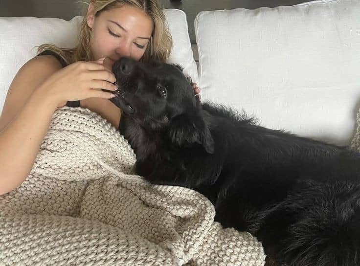 Carolinaknotty's tweet photo. #mate #zootopia #zoophile #petlover #dog #dogknotting #knotty #beasthub #beastiality #teen #USA #romance #beastsex #zoophilia #beast #artofzoo #zoo https://t.co/GEKDoTfXHN