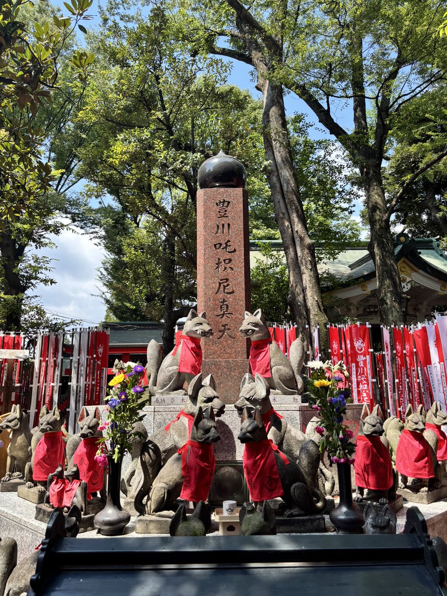 annyhead's tweet photo. 行きたいところはサッと巡って、もうクタクタなので帰ります！

ありがとう88武道館！忘れられない1日になったよ！！ https://t.co/BfDRsPDW8H