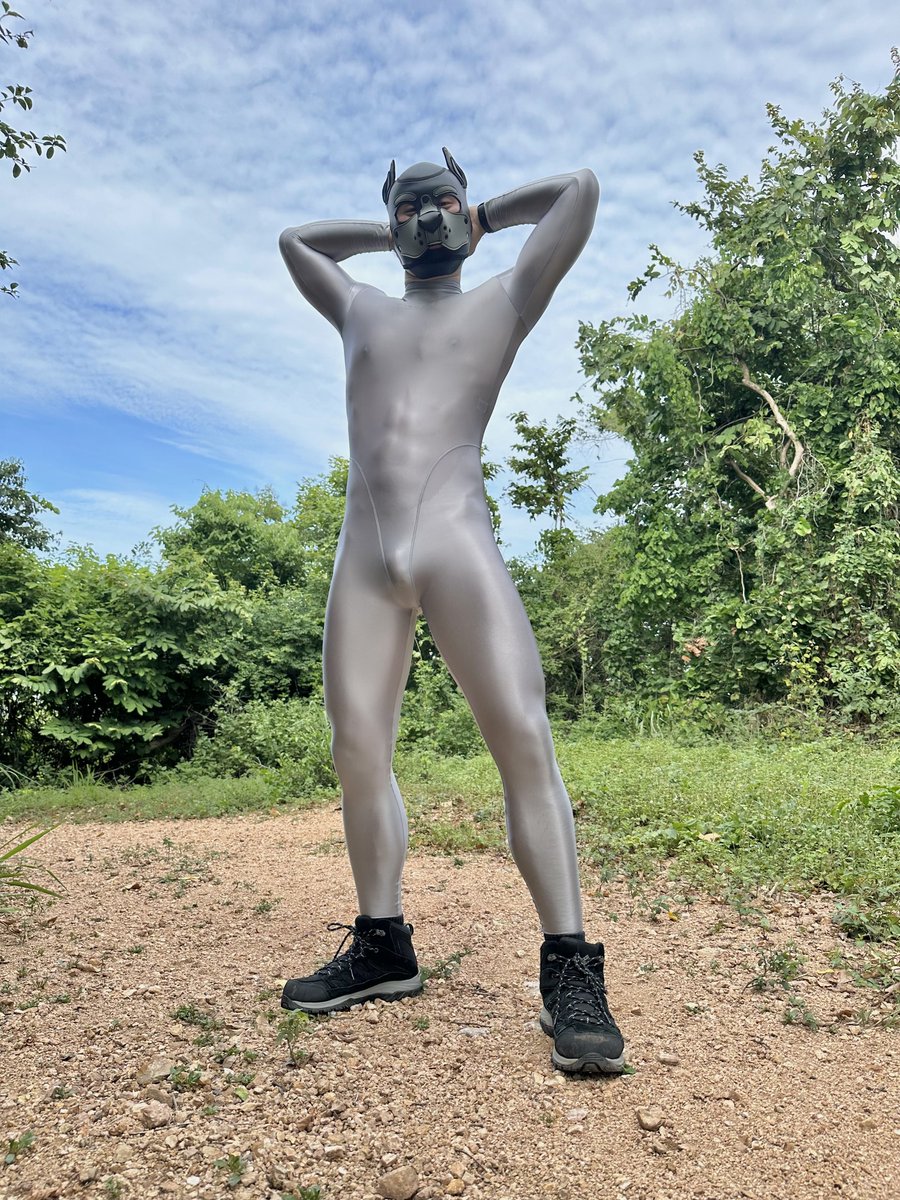 7ai7ang7ai3's tweet photo. POV: you encounter sweaty sliver puppy on the hiking trail https://t.co/CXCw5nMC4m
