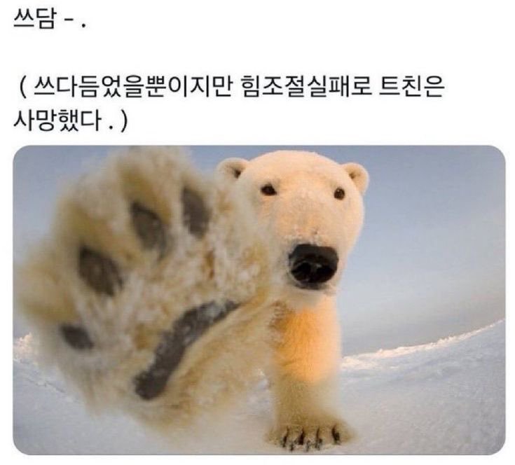 cu2bs_2's tweet photo. 이거 포오
쓰다듬었을뿐이지만 힘조절실패로 타키는 사망했다. https://t.co/b7LgSO2ybF