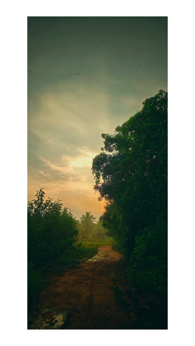ManuMonster19's tweet photo. World Photography Day 🤗🫰
Quote yours 🙌
#Mobilecaptures #PhotographyDay https://t.co/aoTCdDoIvP