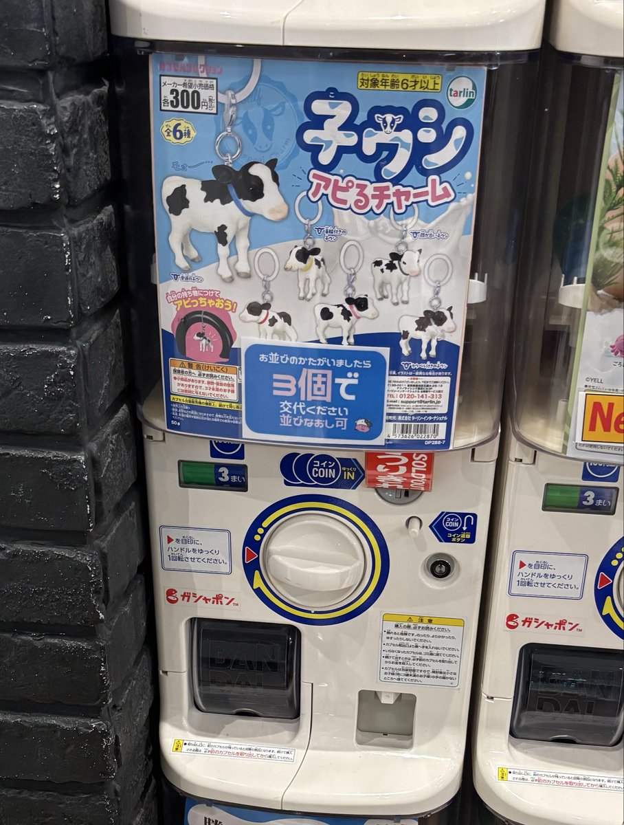 rCAiwMJ9Yk85883's tweet photo. みんな考えることは一緒かな🐮 https://t.co/V1pJ6G26dz